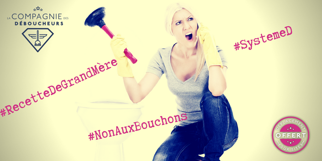 comment deboucher wc