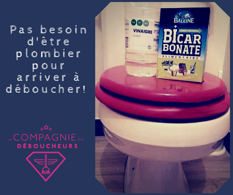 deboucher wc avec vinaigre blanc