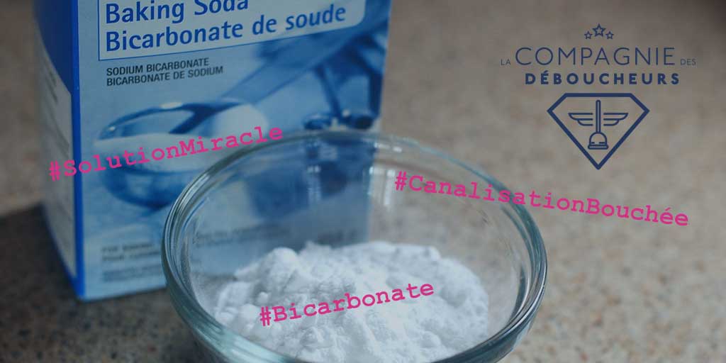 Comment déboucher une canalisation au bicarbonate ? - LCdD