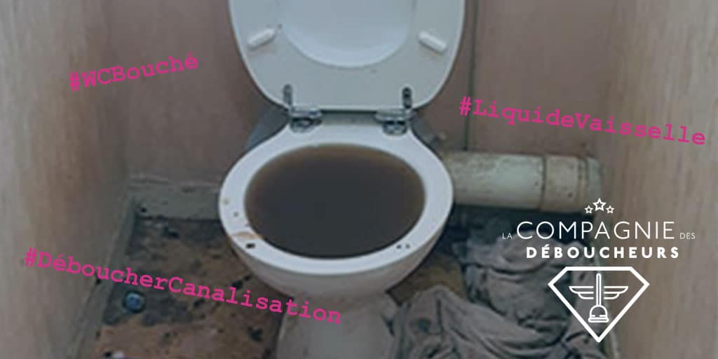 Comment déboucher une canalisation ou ses toilettes avec du liquide vaisselle ?