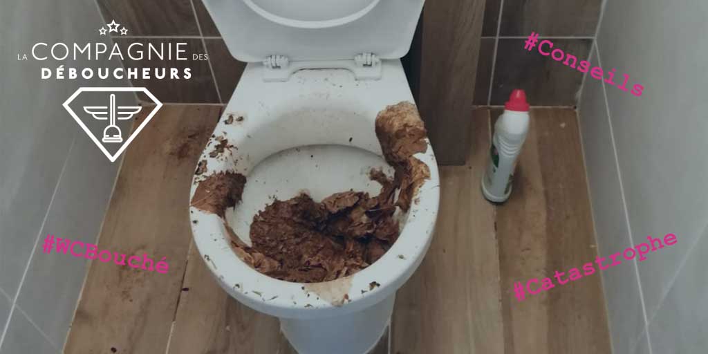 Toilettes bouchées : comment les déboucher