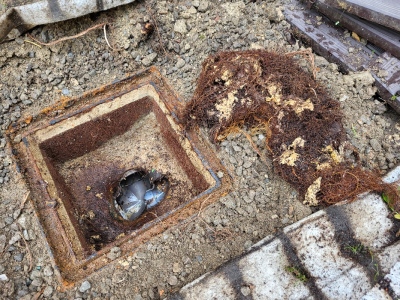 débouchage canalisation Royan, La Tremblade