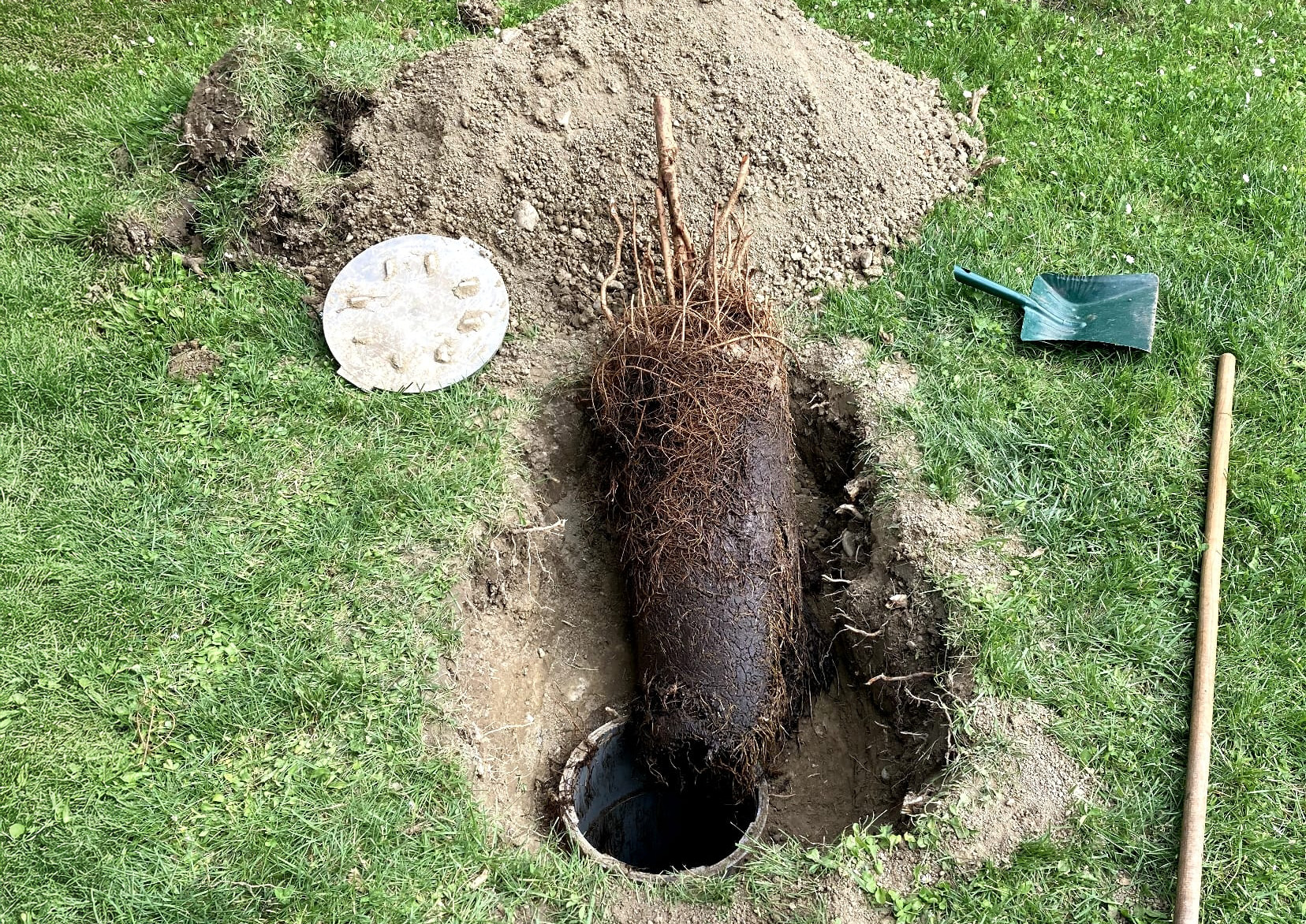 Gros bouchon : racines dans un regard extérieur