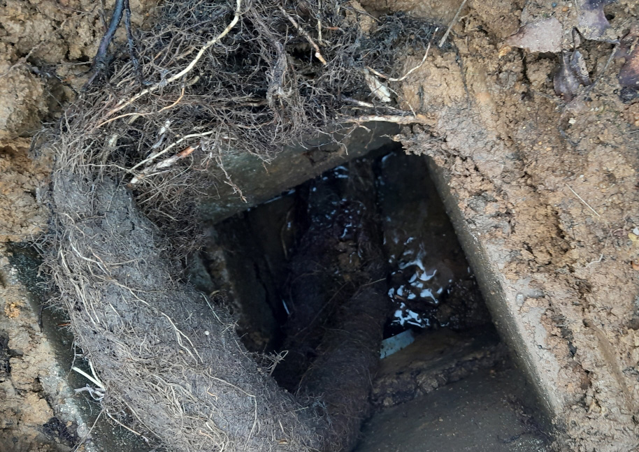 Gros bouchon : racines dans un regard extérieur